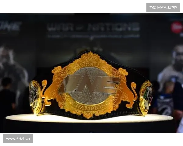 新加坡搏击赛事one—新加坡ONE搏击盛典全球顶尖格斗精英齐聚激情碰撞争夺冠军荣耀