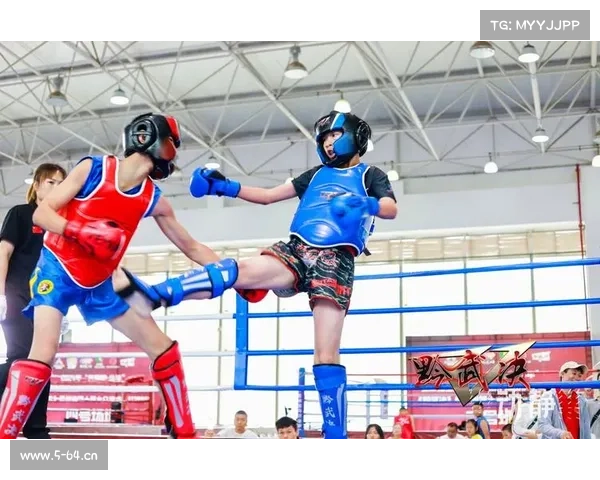 格斗赛事中国国内格斗赛事